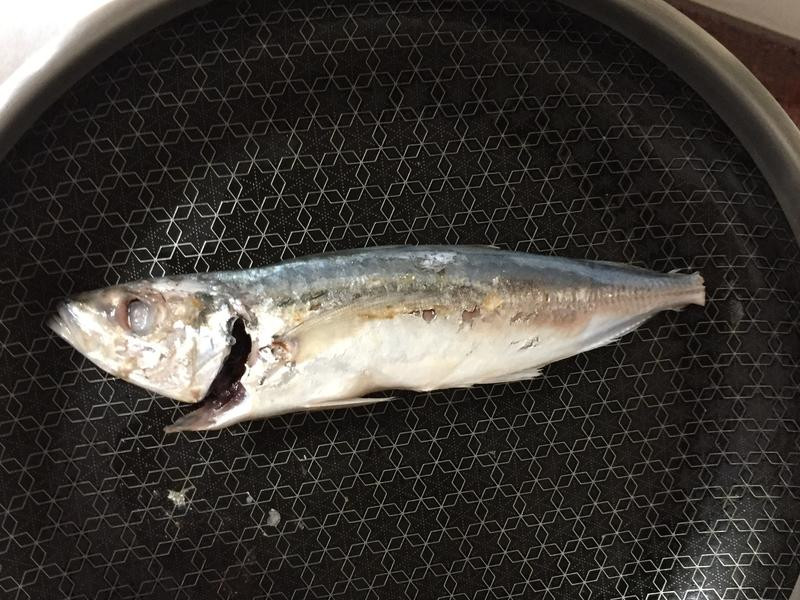 ����������������