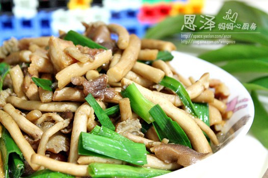 �ʲ��������������