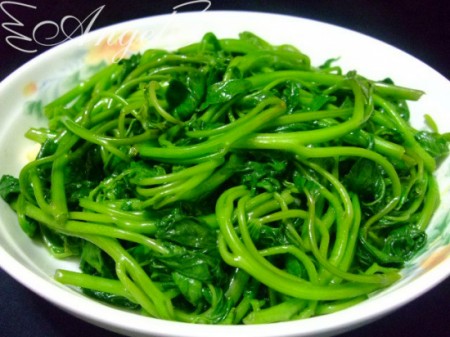 �⳴����Ҷ������