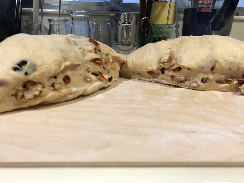 ���ɺ�����Ͱ�������