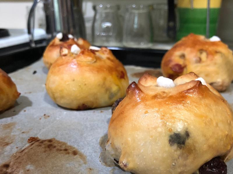 ���ɺ�����Ͱ�������