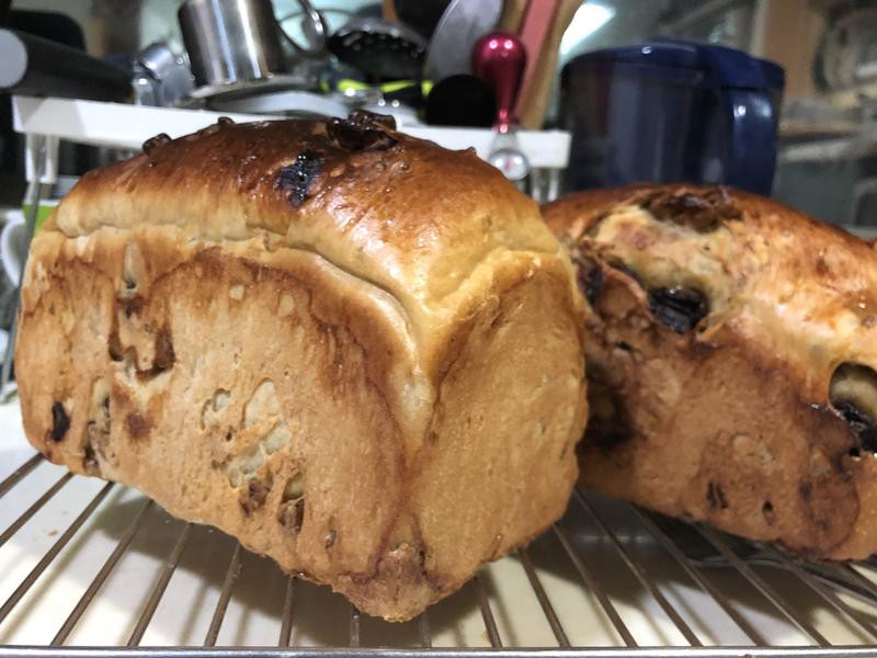 ���ɺ�����Ͱ�������