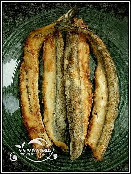 ��ը�ﵶ�������