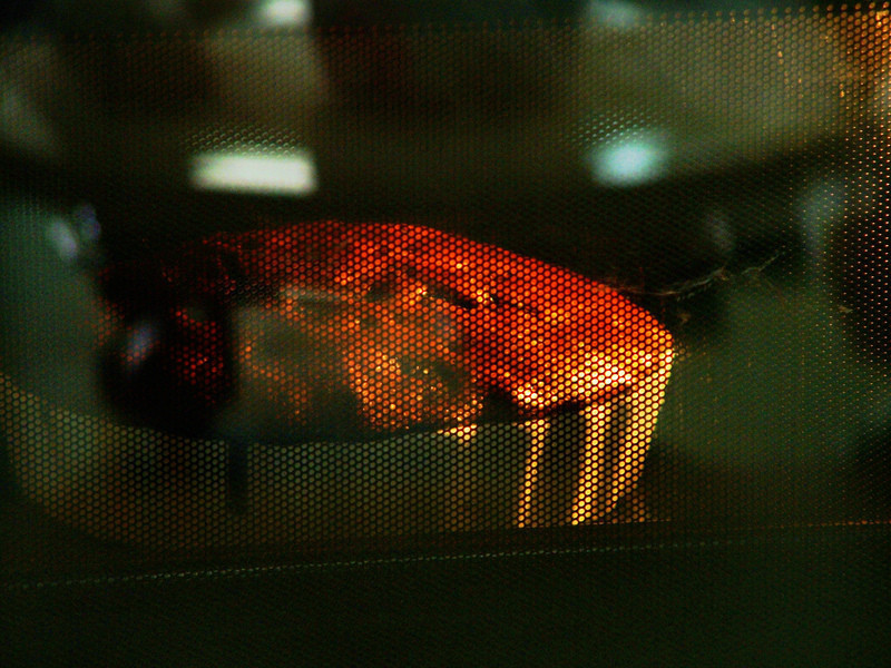 ��������Ѳ�����[Panasonic���տ�΢��¯]������