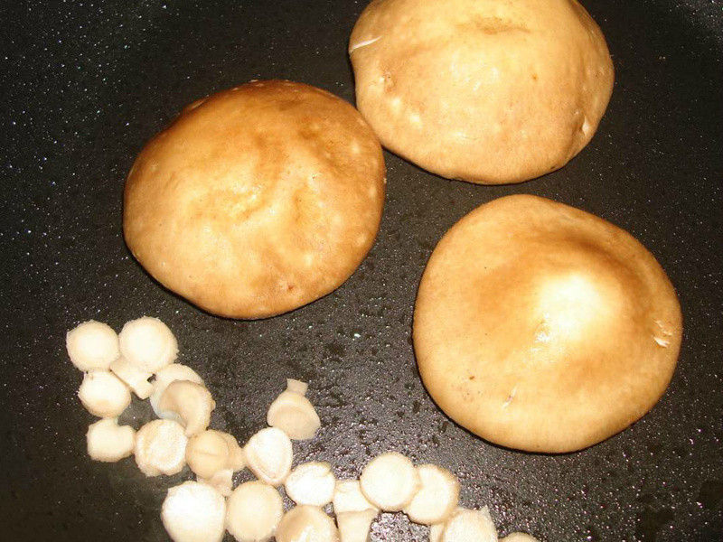 ����ϖζţ������������