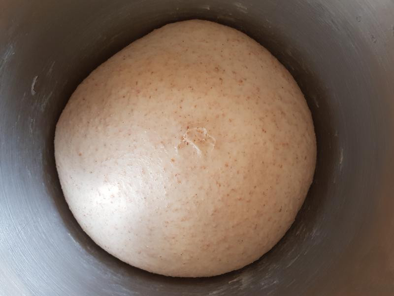 ������������ŷʽ���������