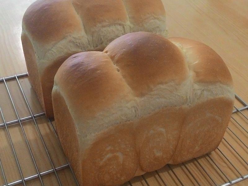 ����������ζ�����ͷ�����˾������