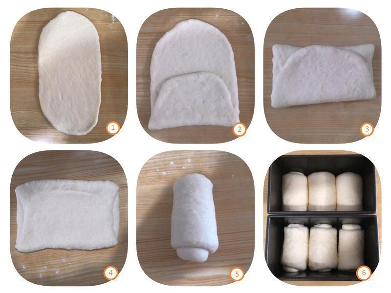 ����������ζ�����ͷ�����˾������