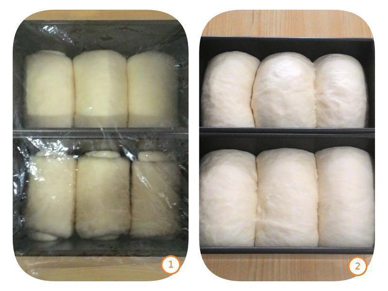 ����������ζ�����ͷ�����˾������