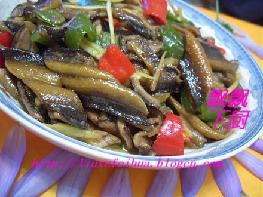 �ͱ���Ƭ������