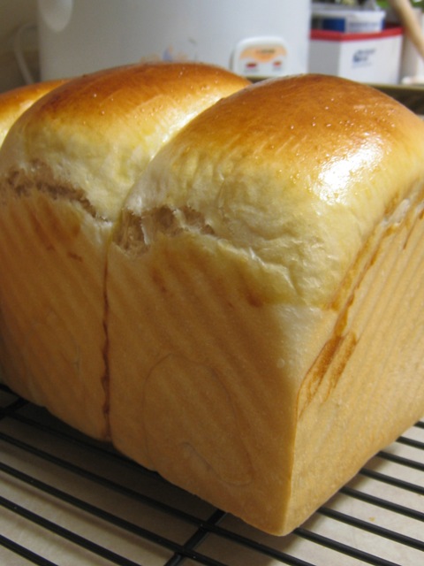 ������˾������