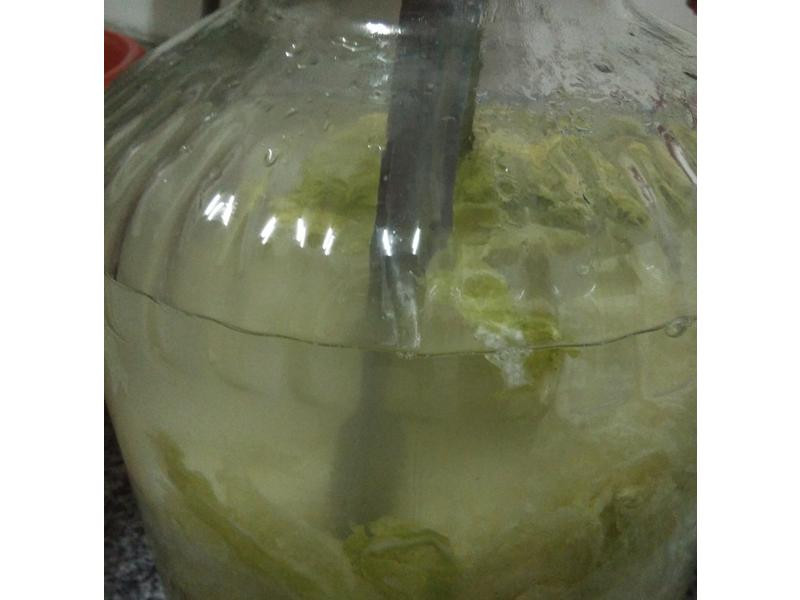 DIY��ײ˵�����