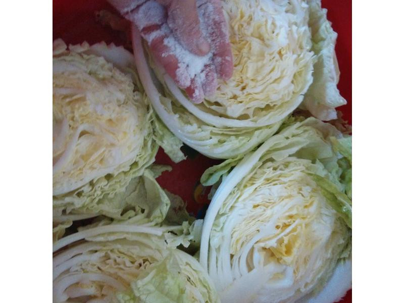 DIY��ײ˵�����