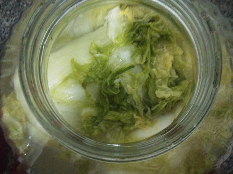 DIY��ײ˵�����