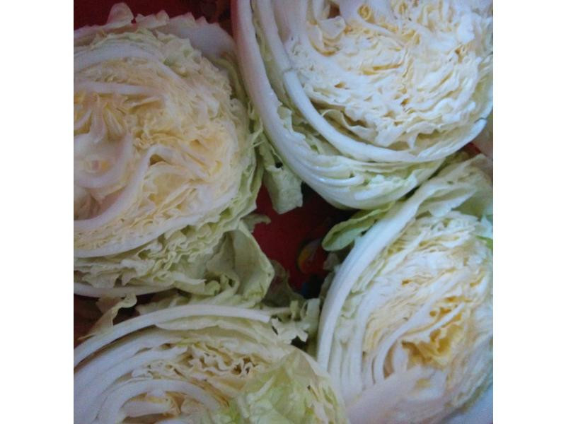 DIY��ײ˵�����