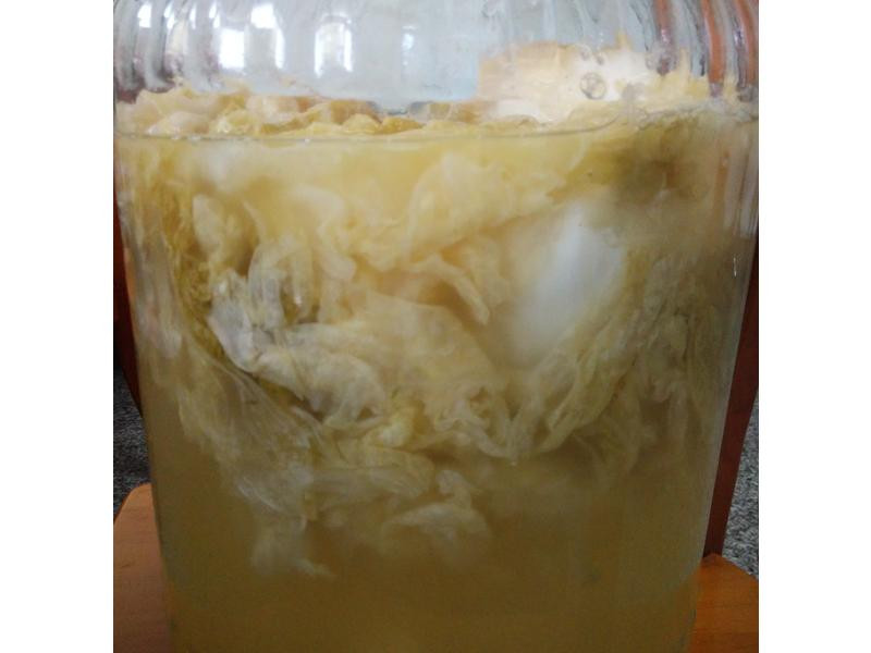 DIY��ײ˵�����