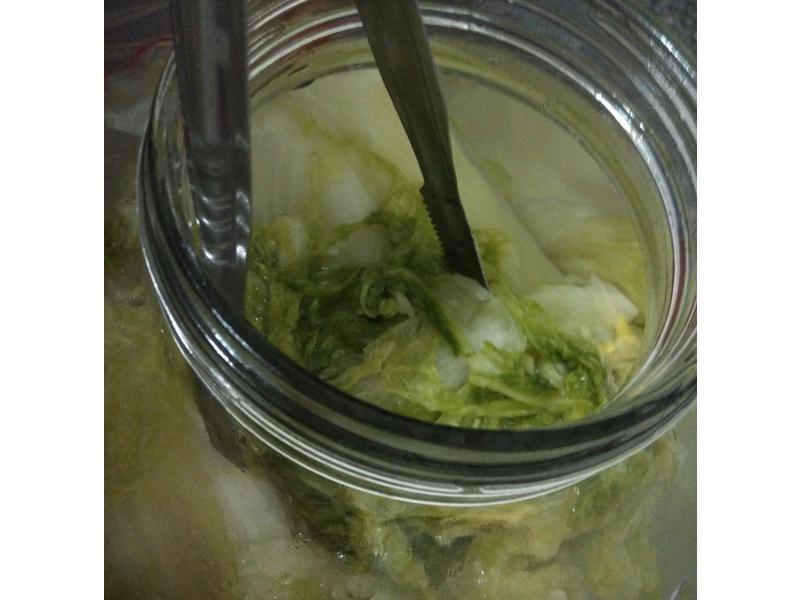 DIY��ײ˵�����