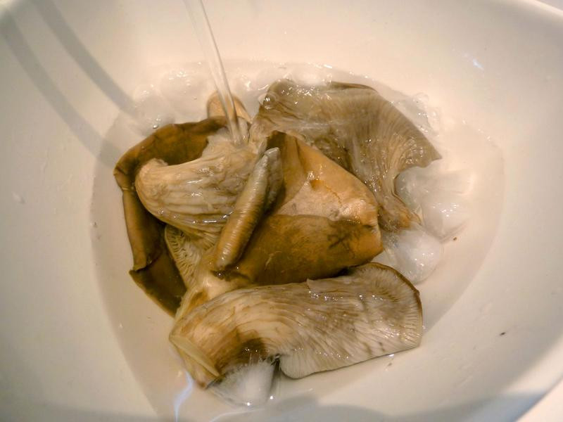 �ͷ籫�㹽ɳ��������