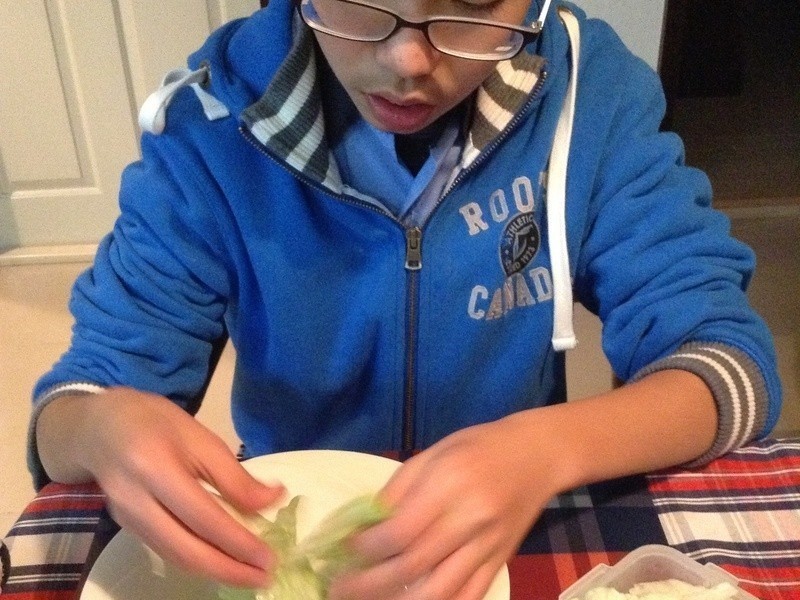 ��ݮˮ��ɳ��?��ݮ�Ͱ�ӥ�����̵�����