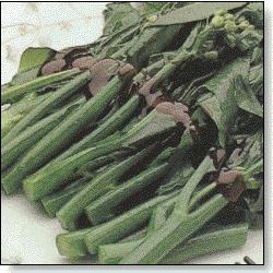 ����ɳ��������