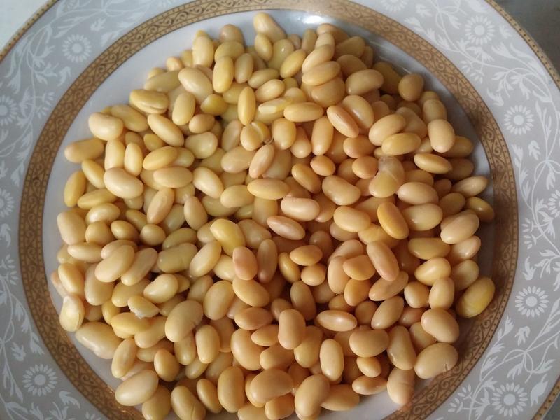 �ƽ��������&����������ARKDAN��������