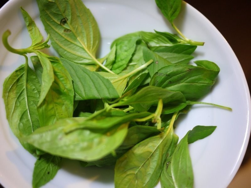 ?����ҹʳ�á������������Ų�����������ξ�������������