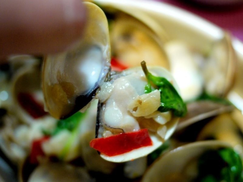 ?����ҹʳ�á������������Ų�����������ξ�������������