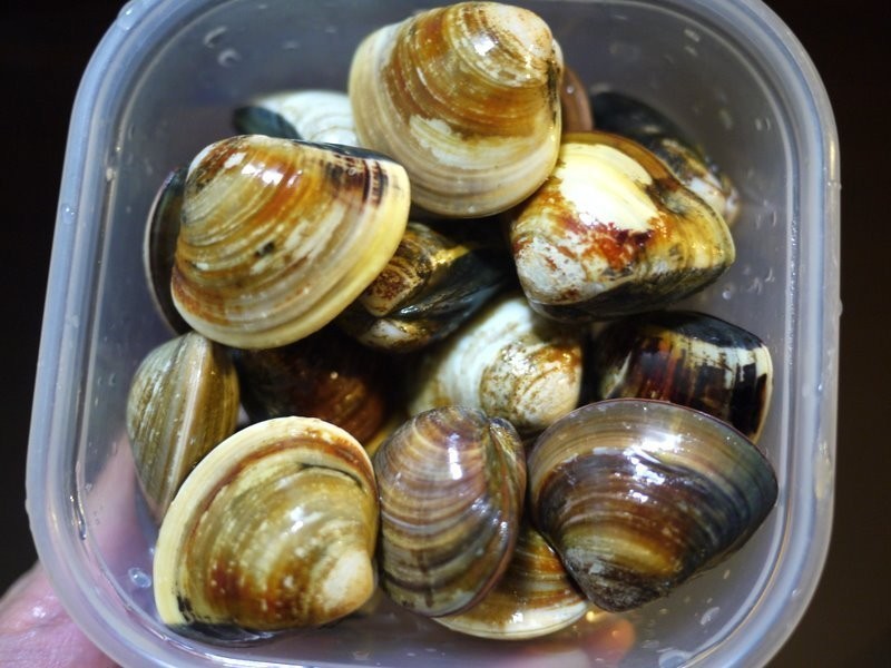 ?����ҹʳ�á������������Ų�����������ξ�������������