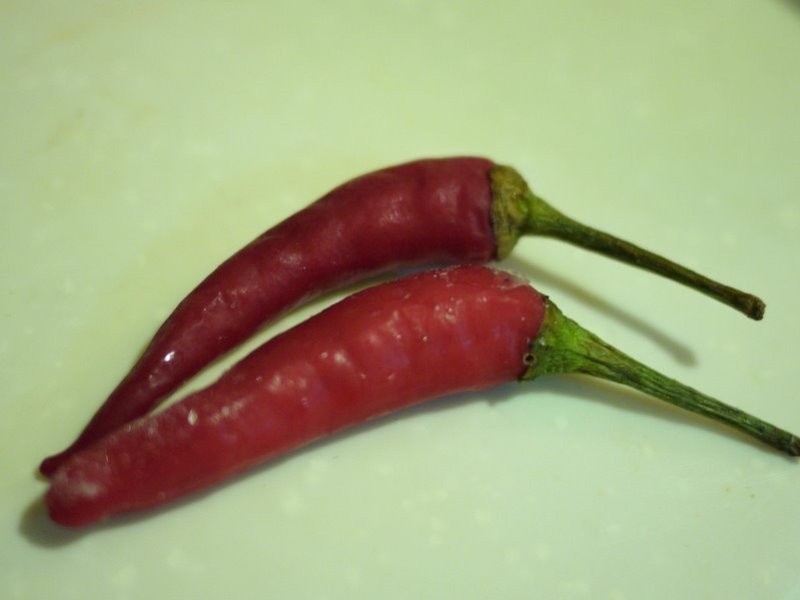 ?����ҹʳ�á������������Ų�����������ξ�������������