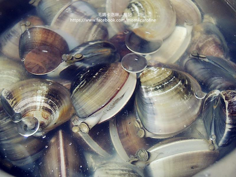 ������ɳ���������