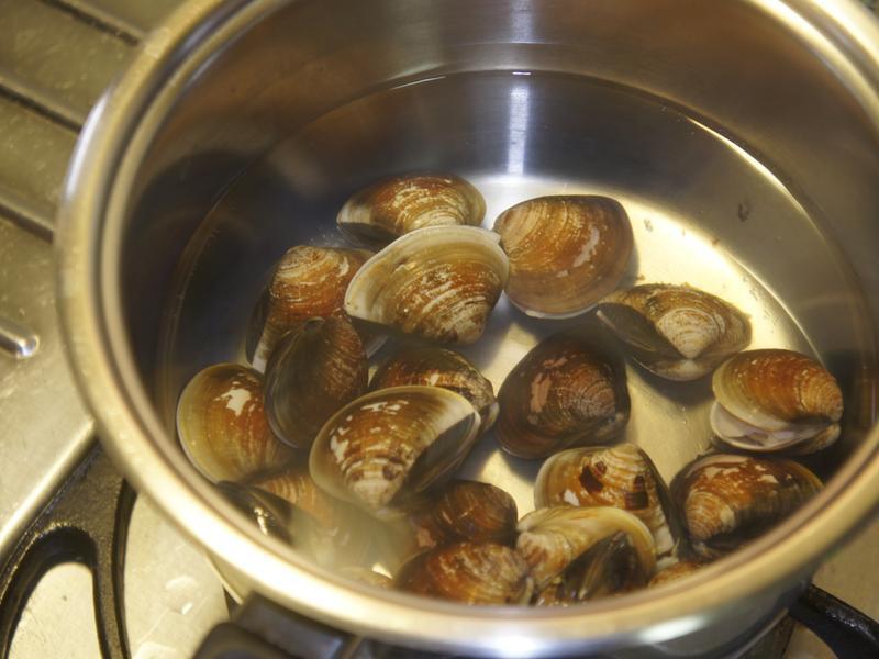 ���������ʷ� - ���ָ��������������