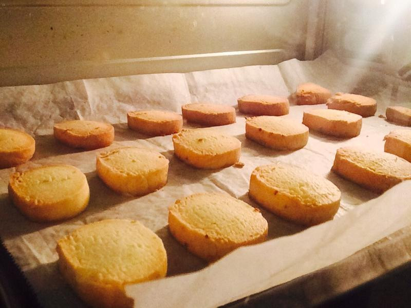 �����������������