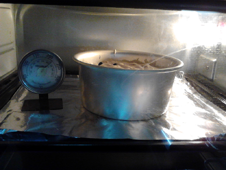 ˫����ݮ�ݷ絰�������