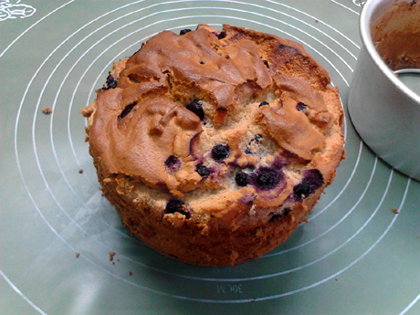 ˫����ݮ�ݷ絰�������