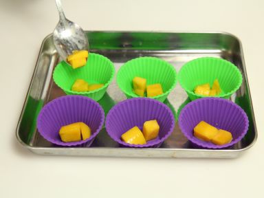 ��֦��¶����������