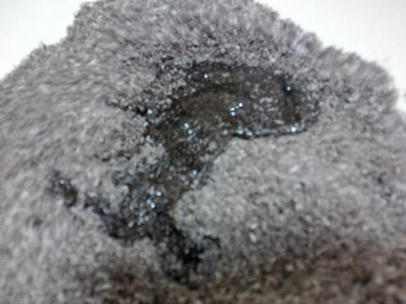 �չ���ʯ(Ҭ�ӵ��ױ�)�����ҳ�����������