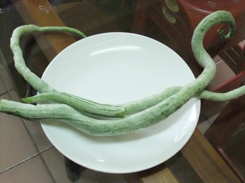 蒜味香菇炒蛇瓜的做法