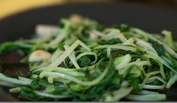 ���㼦ë�˵�����