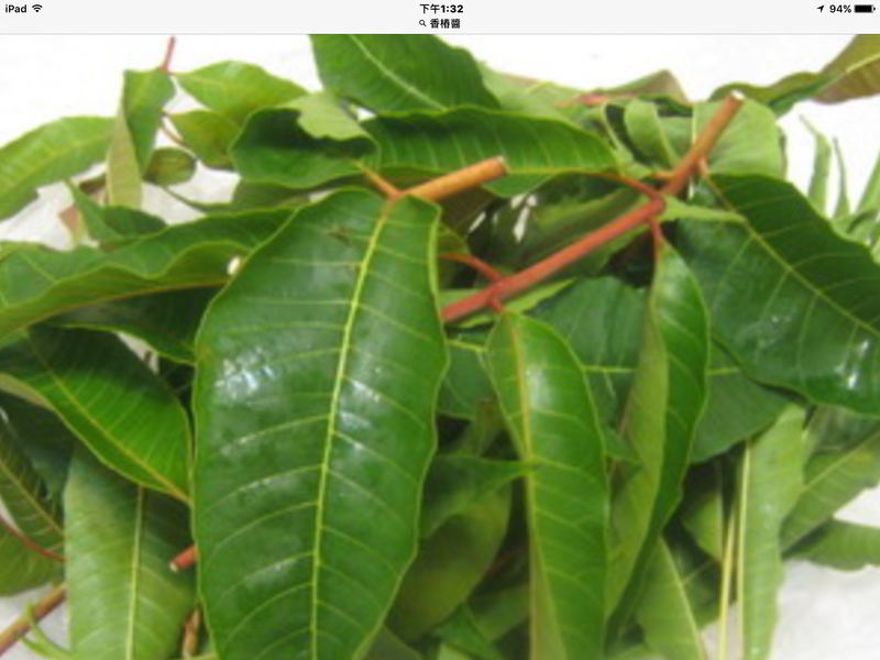 ������׮��������