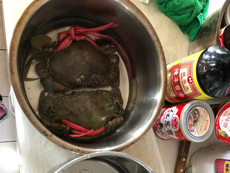 �������y������