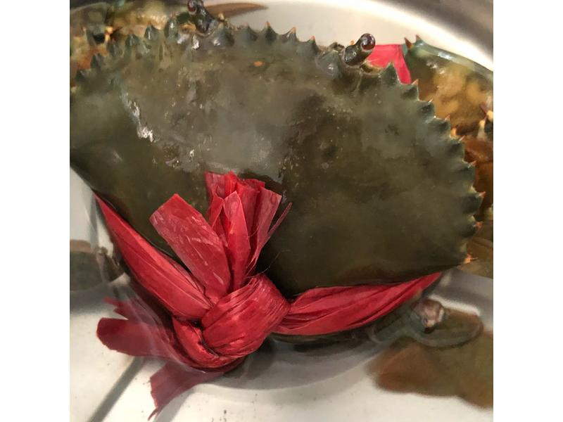 �������y������