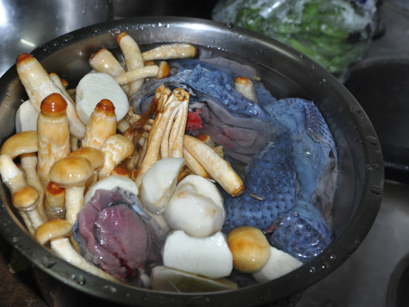 �ȹ����ڹǼ���������