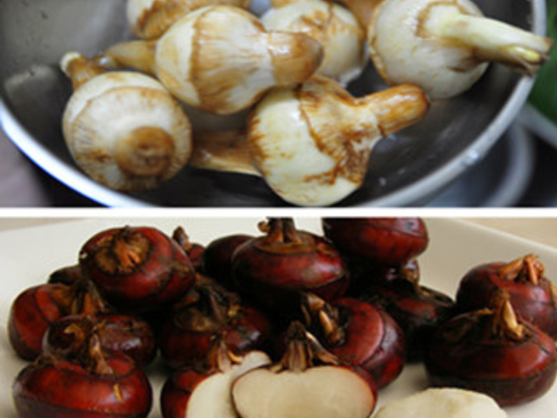 �ȹ����ڹǼ���������