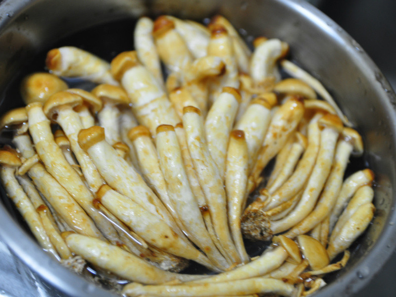 �ȹ����ڹǼ���������