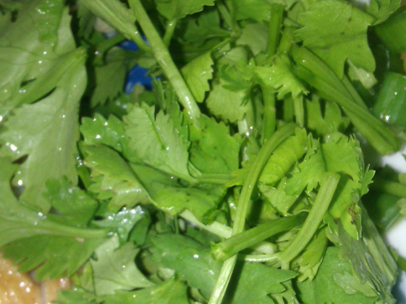 ����ʽ����ζ���������