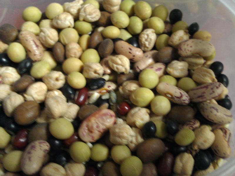 ����ľ����ά��ը����������