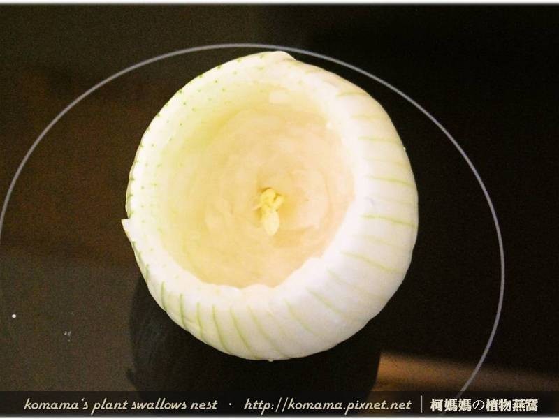 ��ľ�����������������