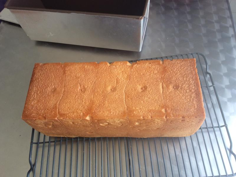 100%���ִ�����˾������