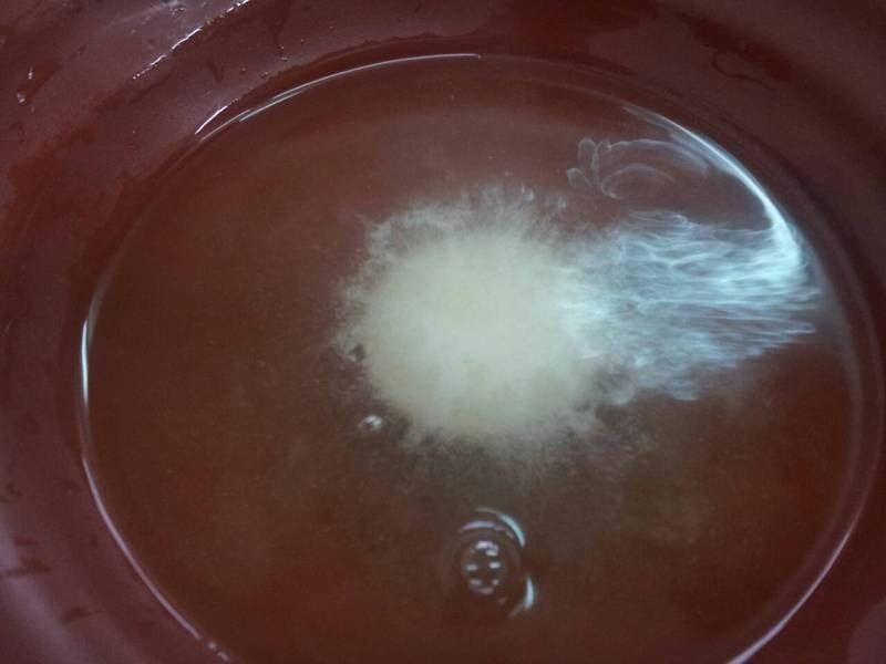 �ı�������ŵ��C���ݶ���������