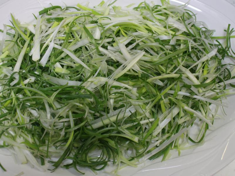 ������˿���Ҷ��������